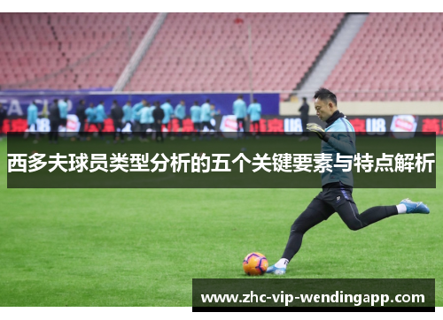 西多夫球员类型分析的五个关键要素与特点解析