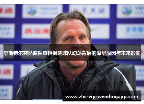 舒斯特尔突然离队真相揭晓球队动荡背后的深层原因与未来影响
